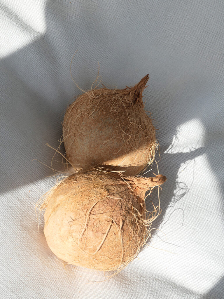image of 2 whole coconuts