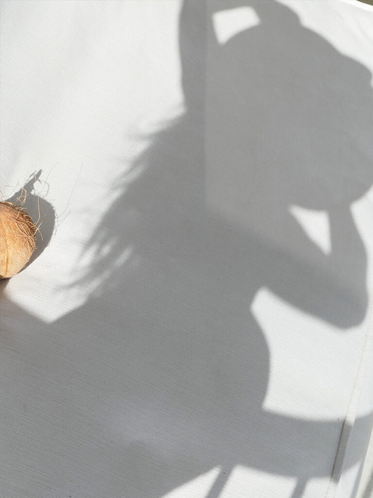 image of pregnant woman's shadow